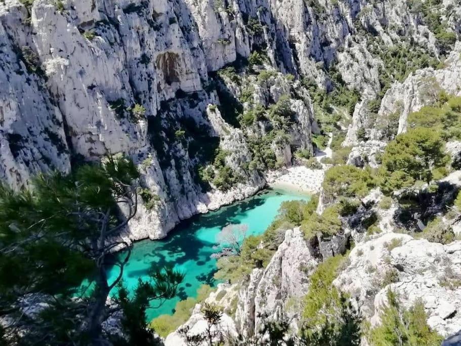 Studio Calanques Pres Du Vieux Port Марсель Екстер'єр фото
